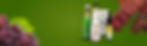 Plantas Website banners-01.jpg